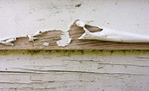 Understanding common paint failures - 